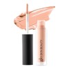 Glo Skin Beauty Luminous Brightening Concealer Makeup - Conceals Dark