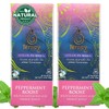 Peppermint Boost by Térapy Ceylon (2 pack) - Premium Ayurvedic