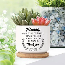 DecStic Friendship is Like Peeing Your Pants.Everyone Can See It Planter Ceramic Motivational Quote Round Flower Pot with Drainage Holes and Bamboo Tray Pot for Outdoor Garden Home Plant