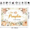 Fall Baby Shower Backdrop Pumpkin Baby Shower Decorations A Little