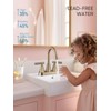 Cobbe Bathroom Faucets for Sink 3 Hole, 4 Inch with