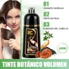 Shampoo para Canas, Hair Dye Shampoo 3 en 1 de