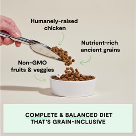 Open Farm, Ancient Grains Dry Dog Food, Protein-Rich & Nutrient Dense, 90% Animal Protein Mixed with Non-GMO Fruits, Veggies and Superfoods, Harvest Chicken Recipe, 4lb Bag