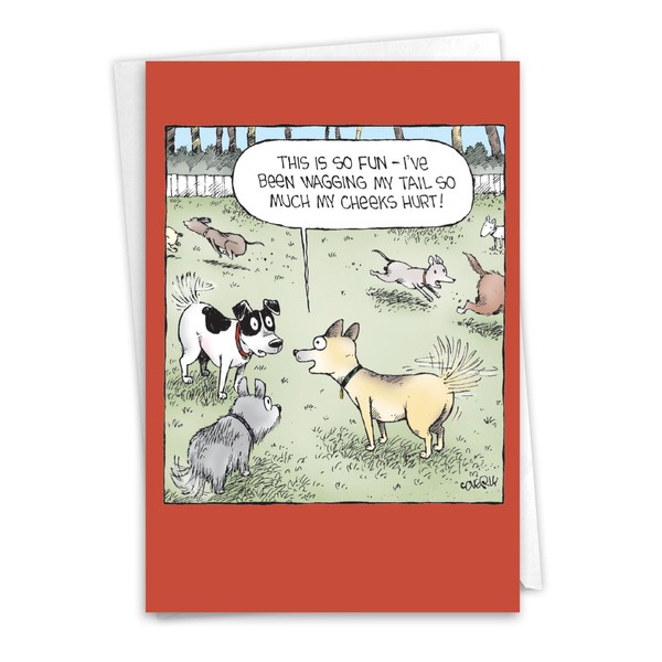 NobleWorks Funny Birthday Greeting Card with 5 x 7 Inch