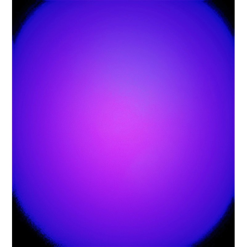 ENFORCER Black and White Motorcycle Title Rank Tag Embroidered Iron