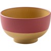Kanoh Gentle Coloring Antibacterial Kids Soup Bowl, Akane