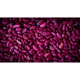 Bean Seeds Kidney Bean Seeds Bulk 200+ Chili Bean Red Bean Seed Heirloom  FREE Shipping USA