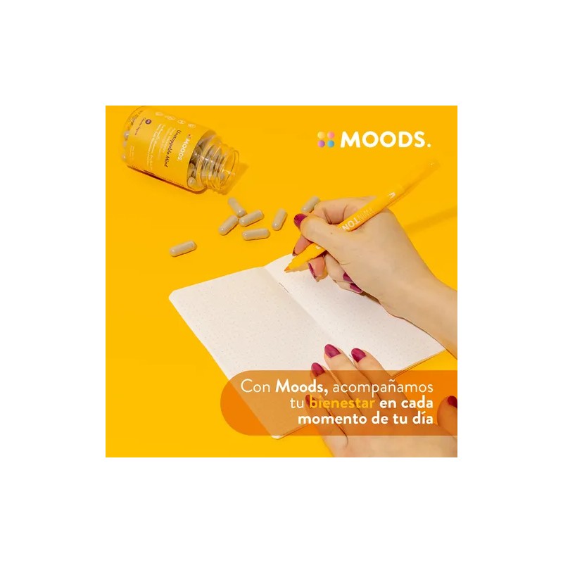 Focus Nootropicos Melena De Leon Bacopin L Glutamina Moods