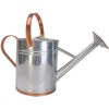 Plexon 2 Gallon Copper/Silver Galvanized Steel Watering Can, 9.5" D