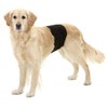 Karlie Dog Pant, 90 x 30 cm, Black