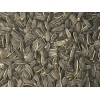 Mixed Nuts Inc. 3 PACK PREMIUM ORCHARD SUNFLOWER SEEDS ROASTED