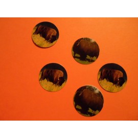 Unbranded Pre Cut One Inch Bottle Cap Images BUFFALO  Free Shipping - photo, 15 images