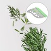 Jagowa 1 Piece Herb Stripper 9 Hole Stainless Steel Herb