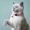 PUKAKO Cat Collars, Cat Collars, Set of 7, Includes Bells,
