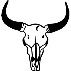 Cow Steer Skull Vinyl Decal - 11 Inches - for Walls, Windows, Doors, Vehicles - Outdoor-Grade 2.5mil Thick Vinyl - Black