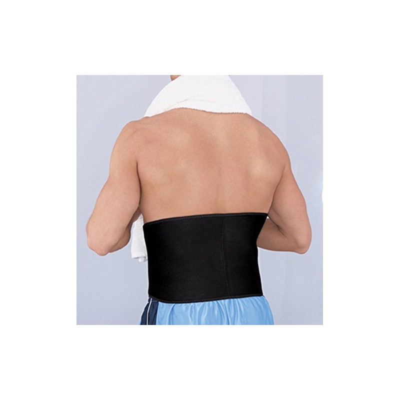 Ace Adjustable Contoured Back Support, 0.50 Pound
