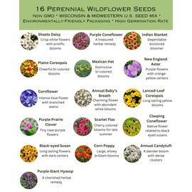 Wisconsin Bulk Perennial Wildflower Seed Mix 1lb Covers 2,000sq-ft - Attract Pollinators, Multi-Color Blooms - Midwest US Species Plant in Spring/Fall - Earth-Friendly Packaging (1/4 Pound)