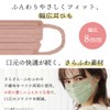 Iris Ohyama PN-BFC54MPB Non-woven Fabric Pleated Mask, 54 Pieces, Regular