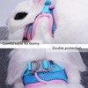 Rabbit Harness and Leash Set Escape Proof, Adjustable Soft Padded