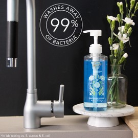 Safeguard Liquid Hand Soap, Micellar Deep Cleansing, Washes Away 99% Bacteria, Made with Natural Moisturizers, Enriched with Skin Conditioners, PH Balanced, Ocean Breeze Scent 15.5 oz (Pack of 4)