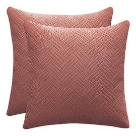 Set of 2 Decorative Cushion Covers - Solid Soft Velvet Pillow Covers with Invisible Zipper Square Throw Pillow Cases for Sofa Car Patio Bedroom Living Room 45x45cm, Hot Pink, 515-0320