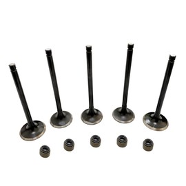 Engine Intake and Exhaust Valve Kit With seal for Yamaha Raptor 660R 2001~2005,Yamaha Grizzly 660 2002-2008,RHINO 660 2004-2007,HiSun Bennche Massimo MSU UTV700 750