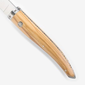 Laguiole en Aubrac Cuisine Gourmet Fully Forged Stainless Steel Made In France Fillet Knife With Olivewood Handle, 7-in / 18cm