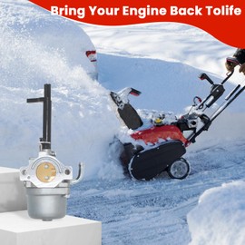 695115 697978 591378 030430 Carburetor For 796321 6250 695114 6500 2044120147E1 695920 Generator Carburetor Compatible with Briggs and Stratton Coleman Powermate Nikki Troy Bilt 10hp Generator