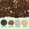 Doter Bonsai Soil Mix Ready to Use (2qt), Premium Fast