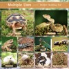 Riare 2.2LB Natural Sphagnum Moss for Reptiles- 50QT Reptile Substrate