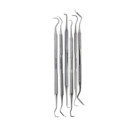 Stainless Steel Precision Micro Probe Set Combo, Straight, Single, Short Double, Long Double, Triple and Hook Tips 5.5 inch- 6.5 inch Overall Length (6)