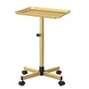 JOSTZHXIN Salon Tray Cart, Salon Rolling Tray Adjustable Height, Tattoo