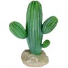 Multi Pet 48593324: Komodo Cactus Plant Saguaro, 9.5In