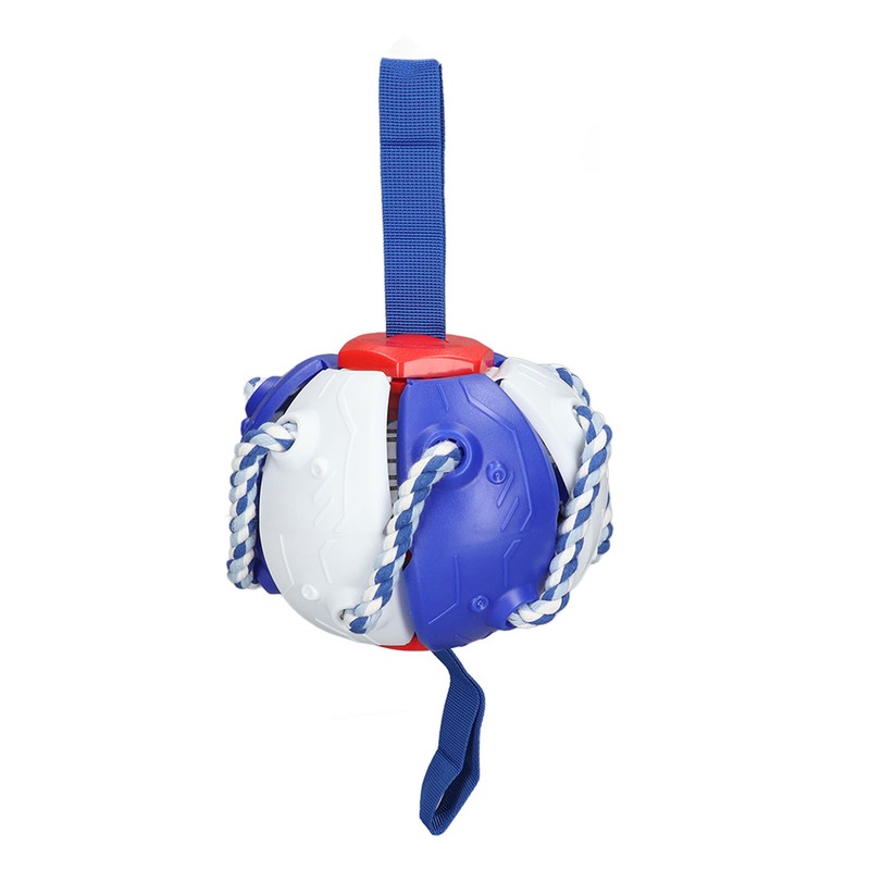 Interactive Outdoor Fly Ball Flying Saucer Ball Interesting Dog Soccer