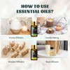Mayjam Essential Oil Set, Aroma Oil Set, Essential Oils, Trial