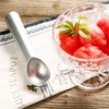 Fruit Gusher Ice Cream Scoop Black Stainless Steel Non-Stick Mashed