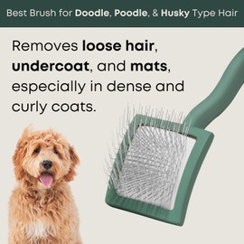 Freshly Bailey Doodle Brush for Goldendoodle, Poodle, and Labradoodle Coats - Best Slicker for Dogs With Wavy & Curly Hair - Detangle & Fluff Like a Pro - Grooming Must Haves (Small)