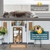 Solar Automatic Cat Door, 5 Smart Modes (Radar, Timer, Light