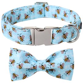 Maca Bates Blue Bee Dog Collar with Bow Bowtie for Dogs Bow Tie Adjustable Breakaway Blue Collars Accessories Birthday Gift for Small Medium Large XL Puppy with Golden Metal Buckle