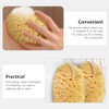 BETOOKY Esponja de Baño Exfoliante de Celda de Abeja 2