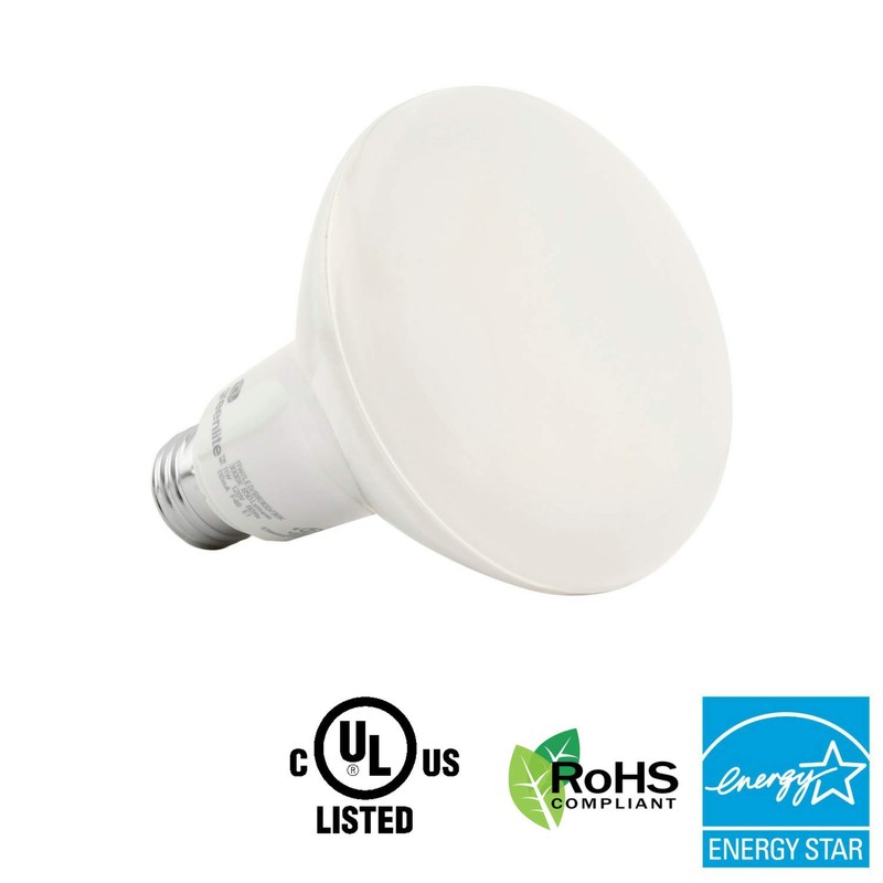 Yeegfeyzz Tiptop Home BR30 LED Floodlight, 11W (65W Equivalent), Dimmable,