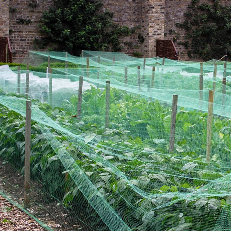 Anti Bird Netting for Garden Woven Mesh - Heavy Duty