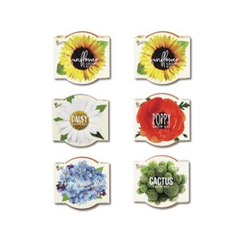 BUZZY Seeds Mini Terracotta Grow Pots Daydream Collection, Assorted 6-Pack Flower and Plant Seed Starter Kit for Kids and Adults, Indoor Gardening Gift, Holiday Present, Stocking Stuffer