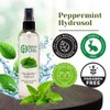 GreenHealth Peppermint Hydrosol (Floral Water) - 8 fl oz Plastic