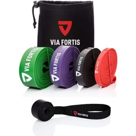 Via Fortis Premium Resistance Bands + Exercise Instructions and Bag - Resistance Bands, Pull-Up Band and Pull-Up Aid, Fitness Band, Training Bands for Fitness & Strength Training