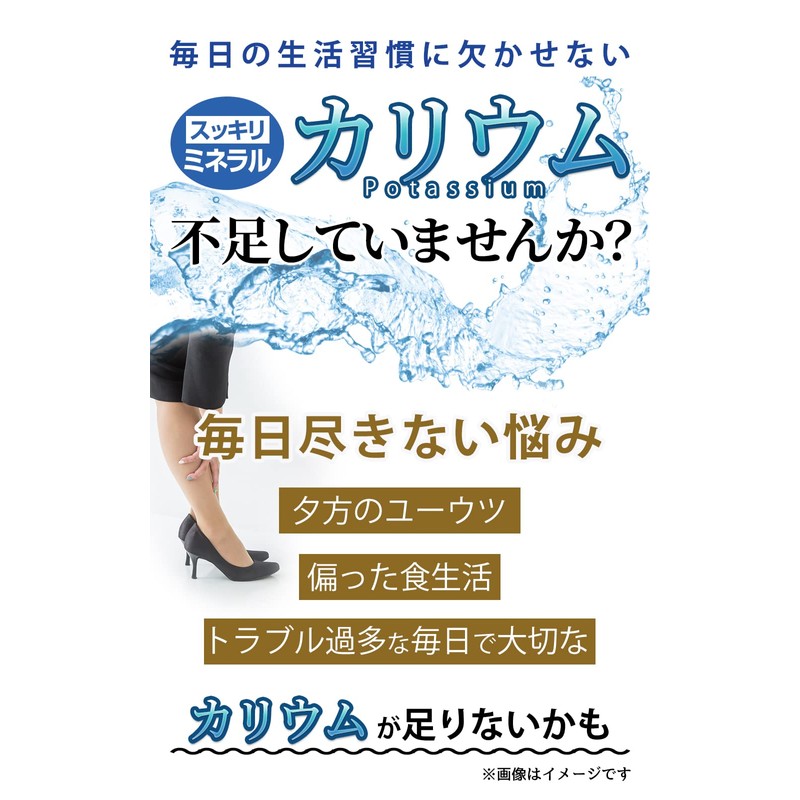 カリウム習慣 サプリメント 黒生姜 健康サプリメント ブラックジンジャー 黒ショウガ しょうがサプリ 生姜サプリ 黒ウコン ポリフェノール