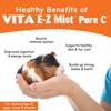 Oasis Guinea Pig Pure C Vita E-Z Mist Supplement, 2