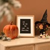 Thanksgiving Starry Night LED Pumpkin Lights, Decorative Timer Illuminated Resin