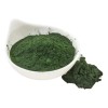 Alga Espirulina En Polvo Bote 1 Kg