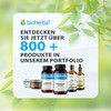 BIOHERBA PZN 17191352 St. John's Wort Capsules - Pack of